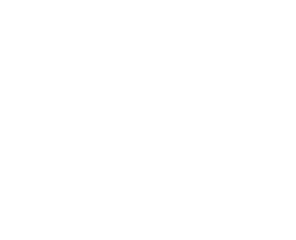Dì Lý